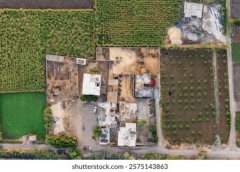 工程项目管理与统筹服务